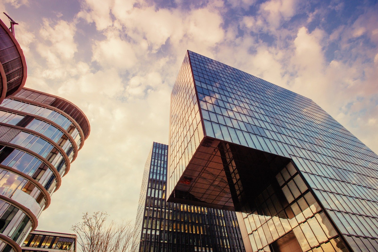 Equipo de ingenieros en obra revisando planos.